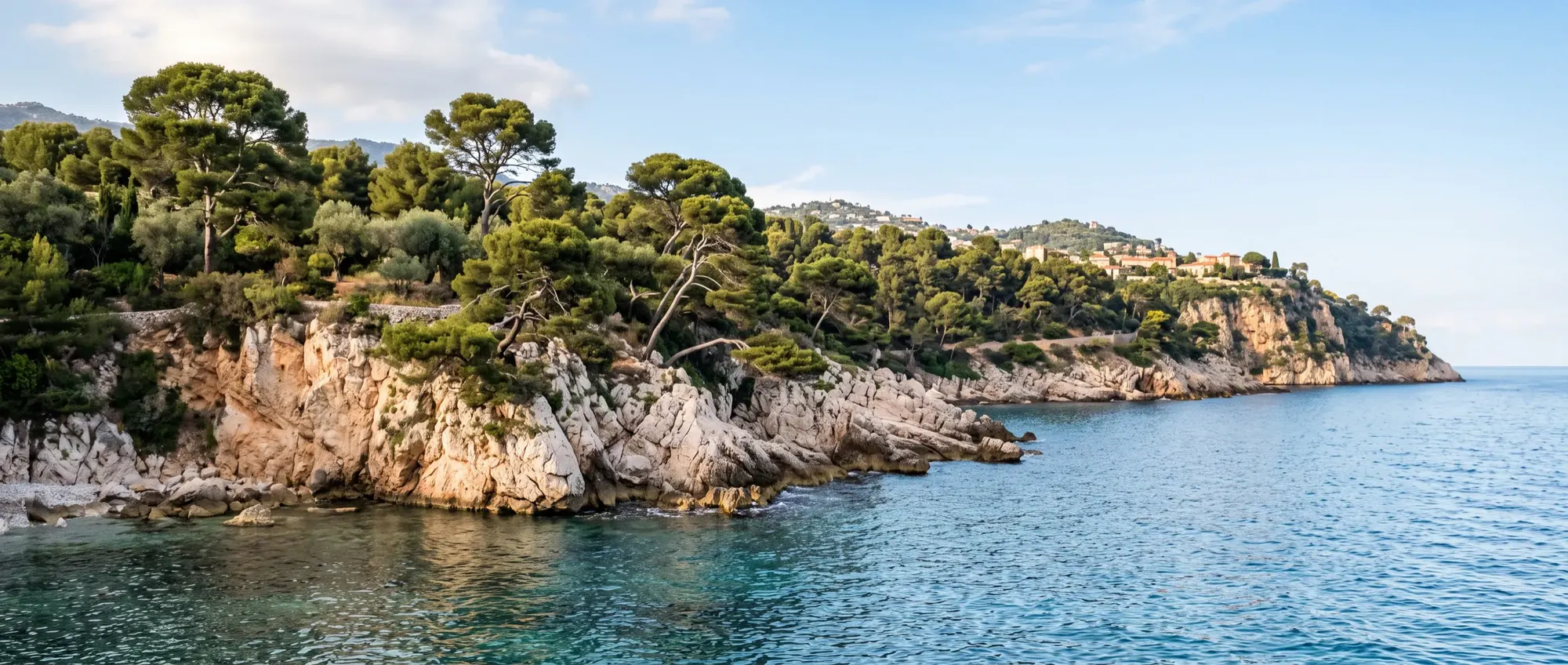 Umbrella pines leaning over the rocks at Cap Martin above clear water.