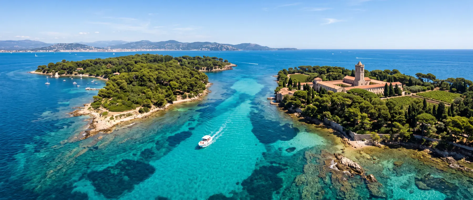 The wooded shore of the Lérins islands above clear shallow water.