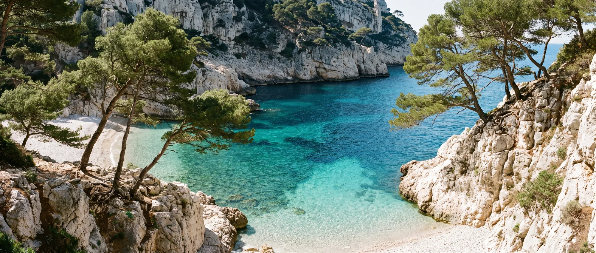 Une crique déserte de la Riviera, les pins penchés au-dessus de l'eau claire et une plage de galets.